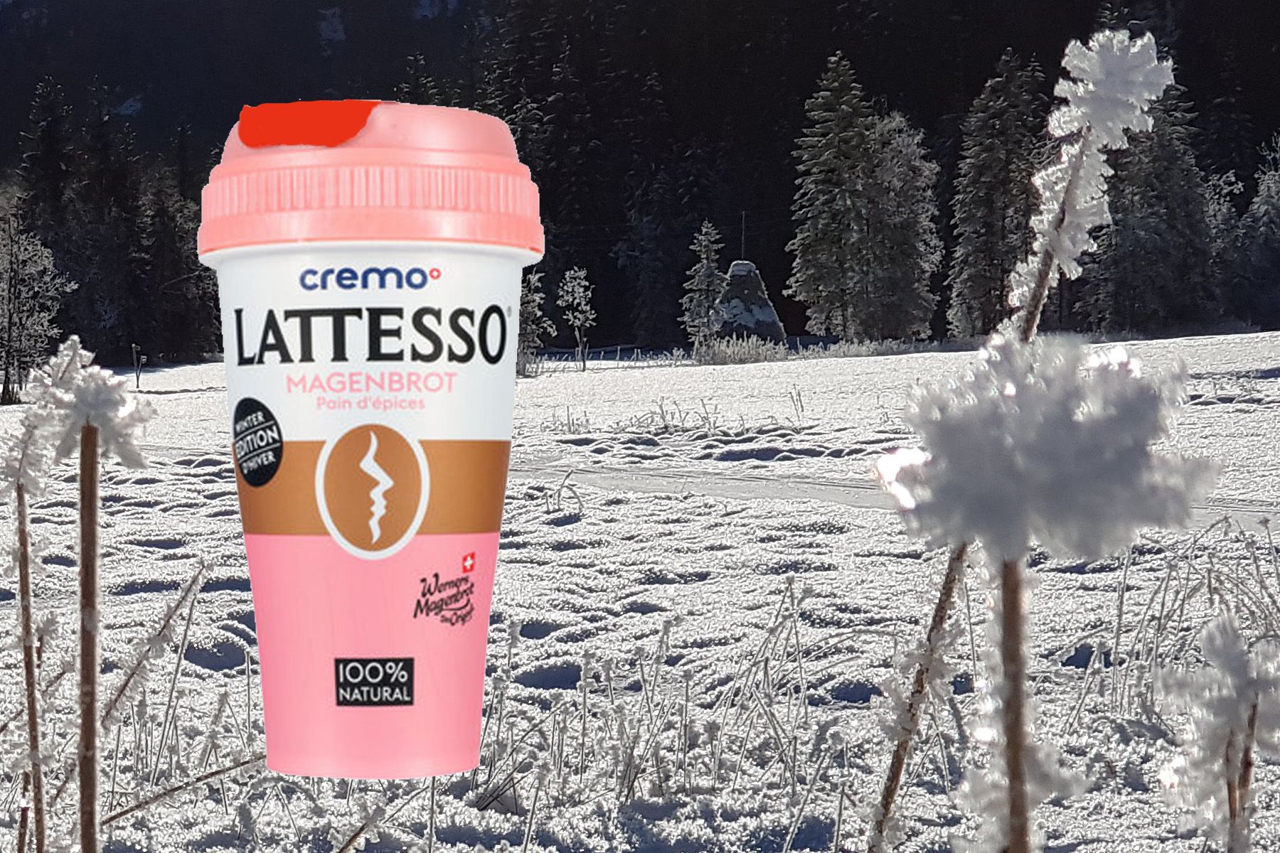 Limited edition von Lattesso! Limited edition von Lattesso!